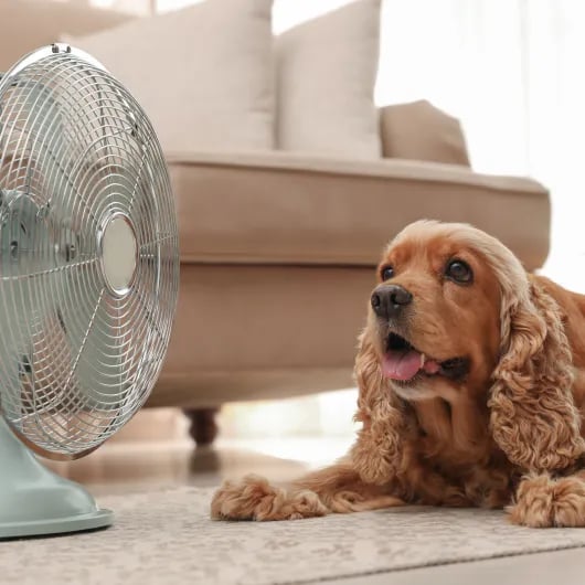 Summer thermostat tips for New England Homes