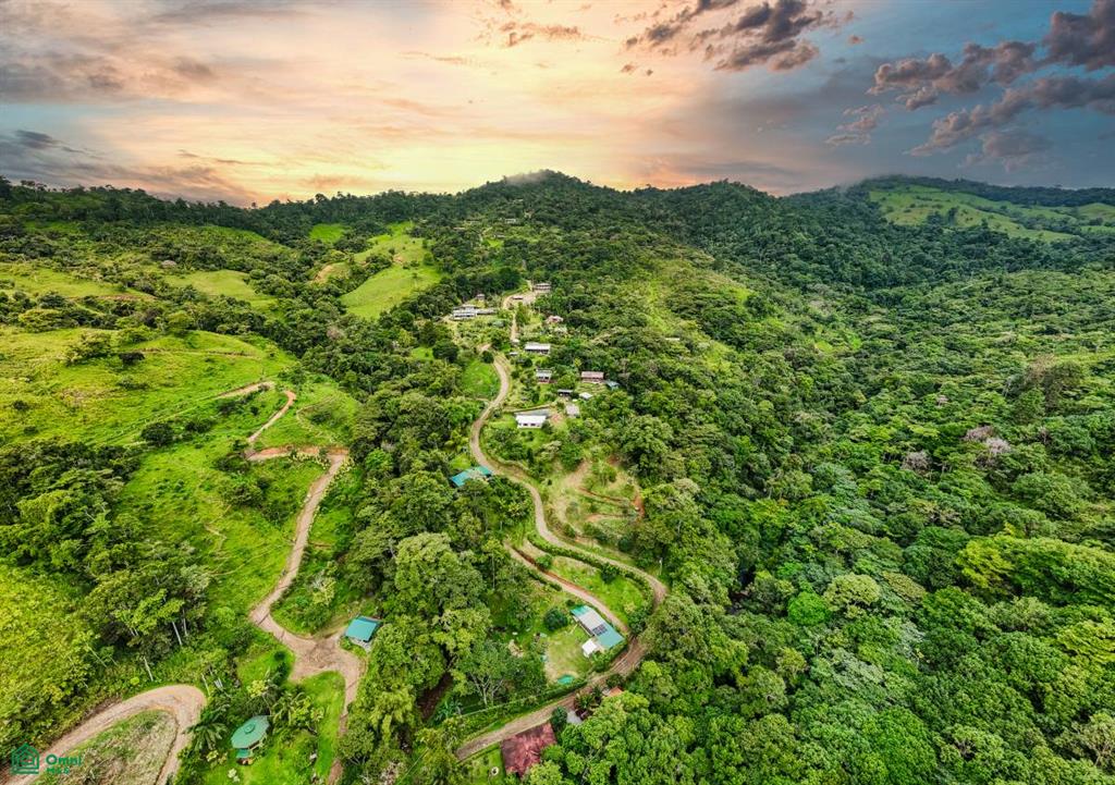 Punta Mala