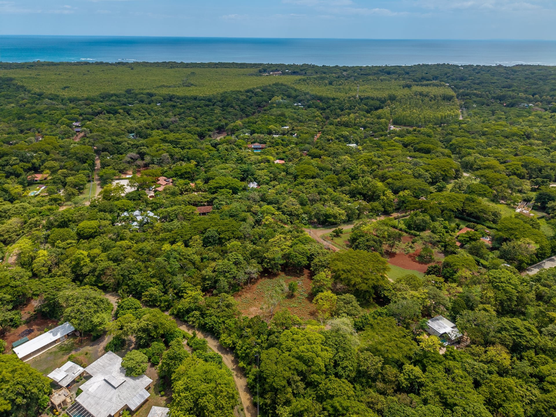 Hammock Plantación | Spacious Agricultural Land Near Playa Negra