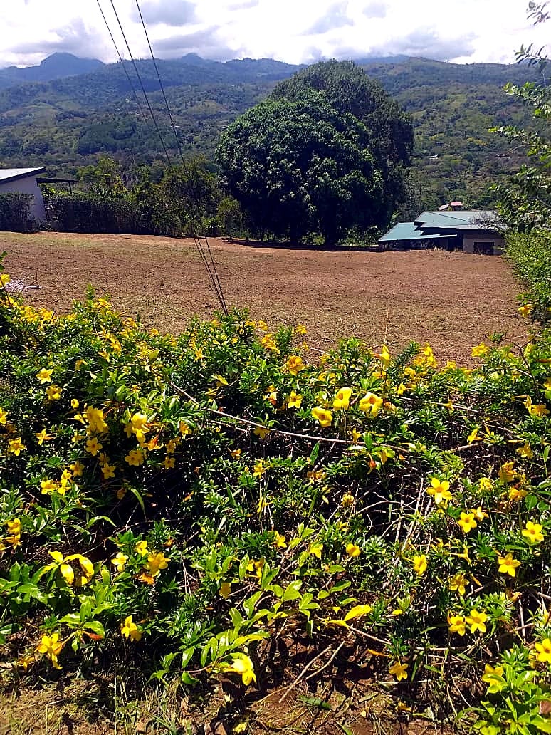 2,000 m² Lot for Sale – Rivas, Pérez Zeledón, Cost