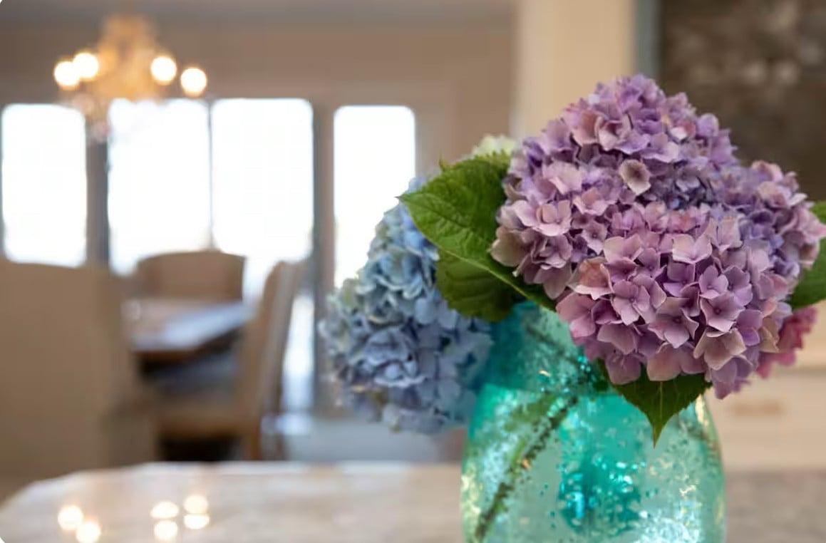 #1098 Beautiful Bayfront with Pool