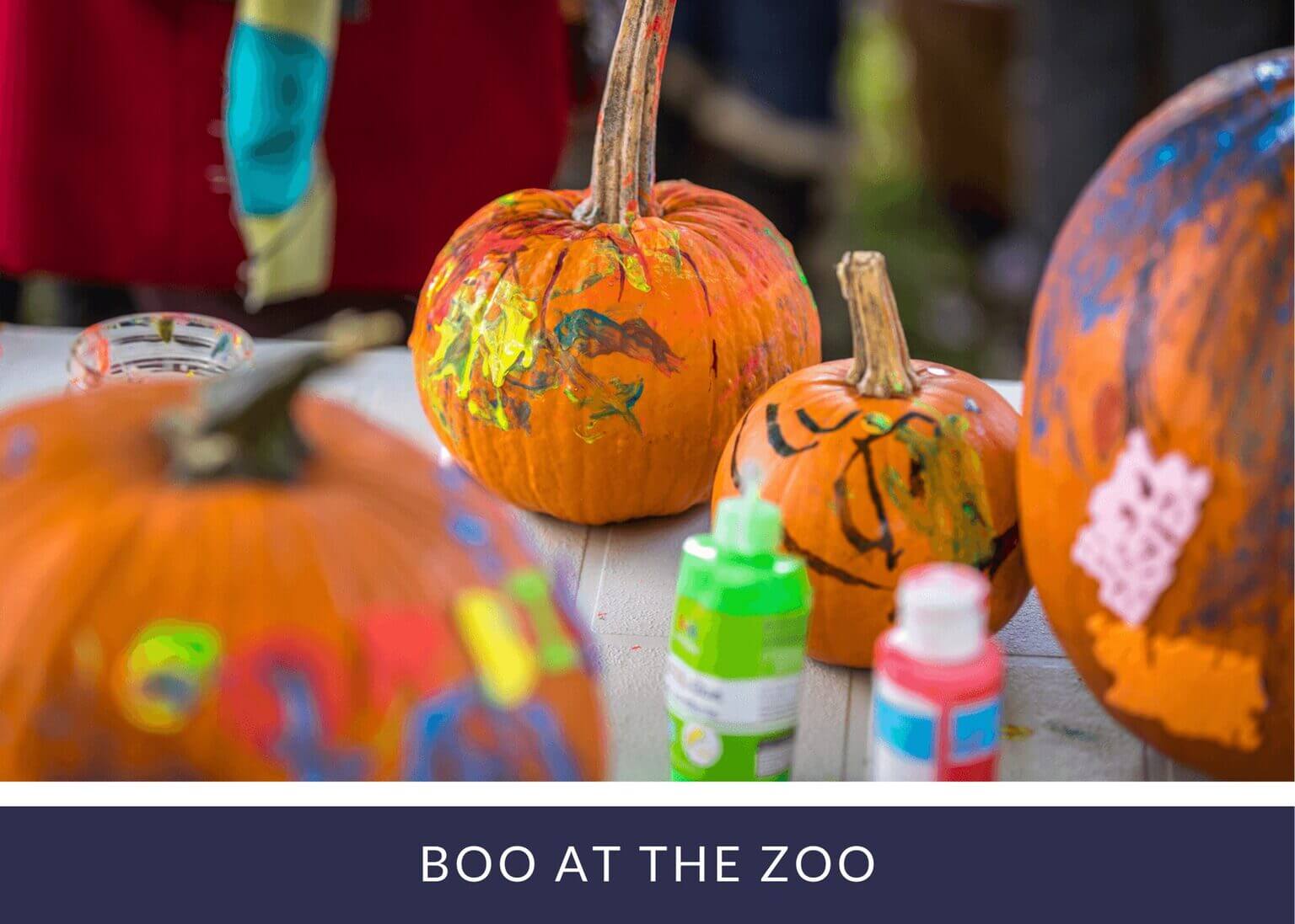 Guest houses with green lawn