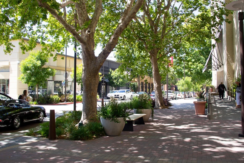 Walnut Creek