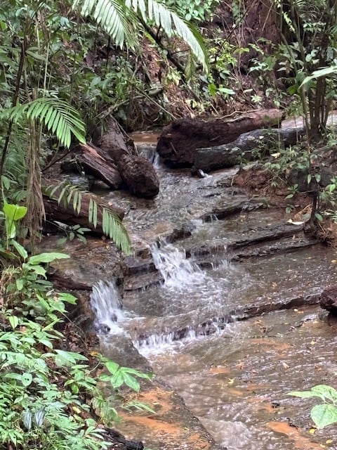 17.85 ACRES – Stunning Large Land With 2 Waterfalls Near Dominical Beach!!!