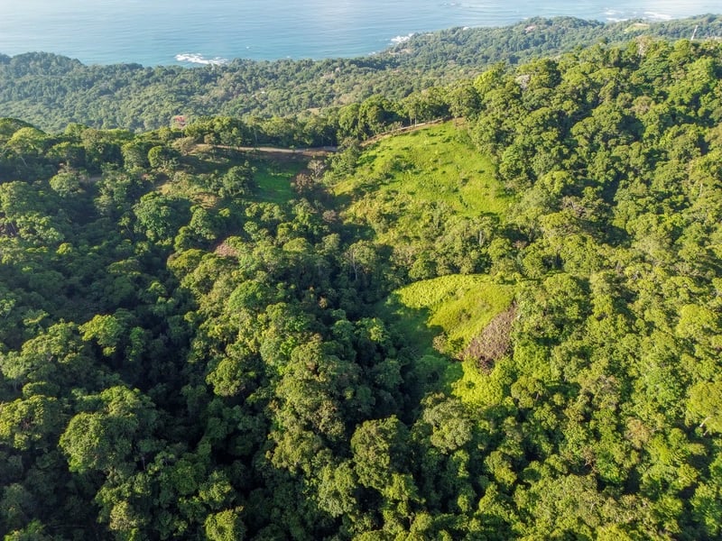 55 acre Escaleras Mountain Ocean View Private Farm.