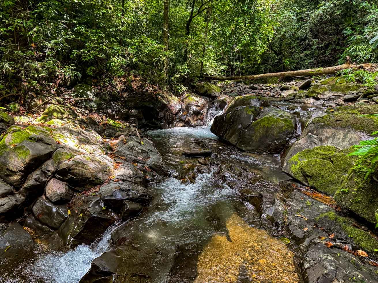 32-Acre Self-Sustainable Off-Grid Farm Near Ojochal with House, Solar Power & River