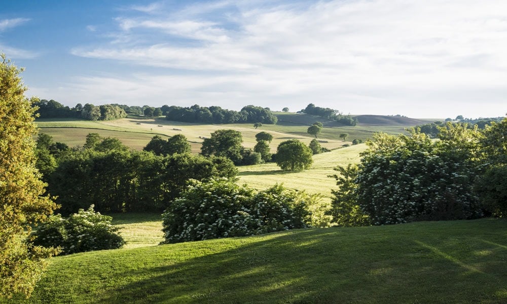 Charming Historic Farmhouse near Orvieto