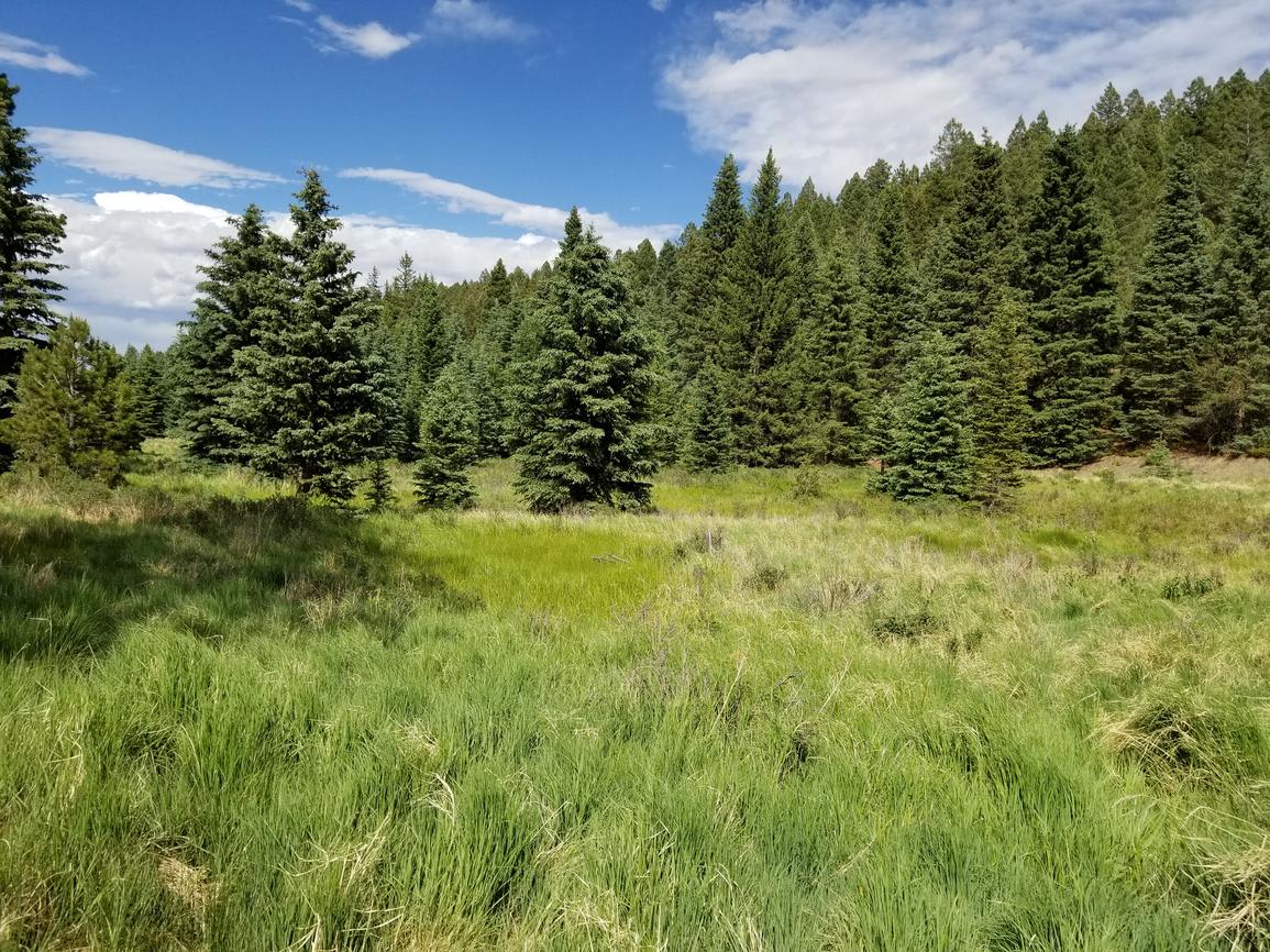 3800 N Elk Ridge Drive