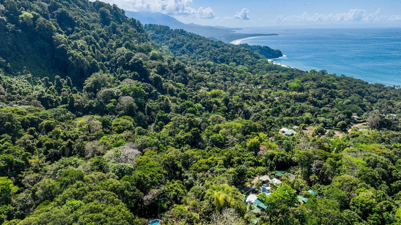 WHALE’S TAIL OCEAN VIEW ESTATE WITH EXTRA LOT 