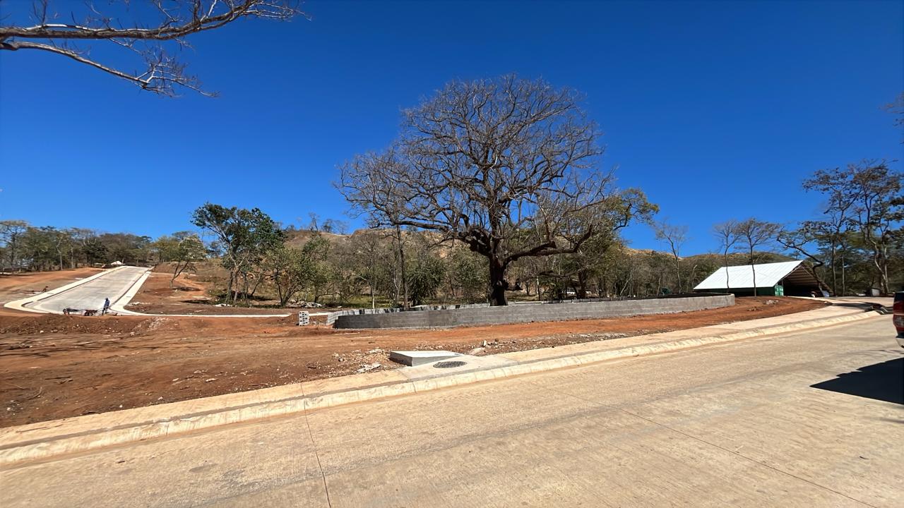 Pochote Hills Lot #9 | Prime Gated Homesite Minutes from Playa Avellanas