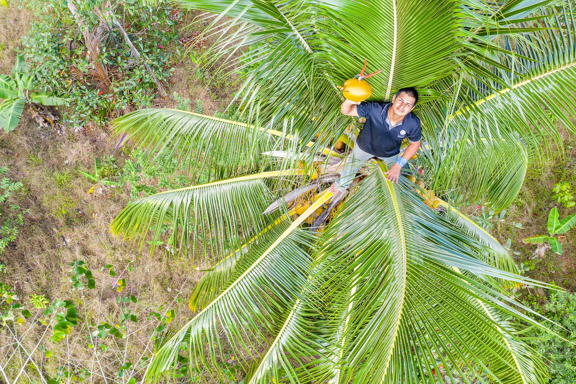 Blue Valley Cacao Farm | High-end gourmet chocolate production.