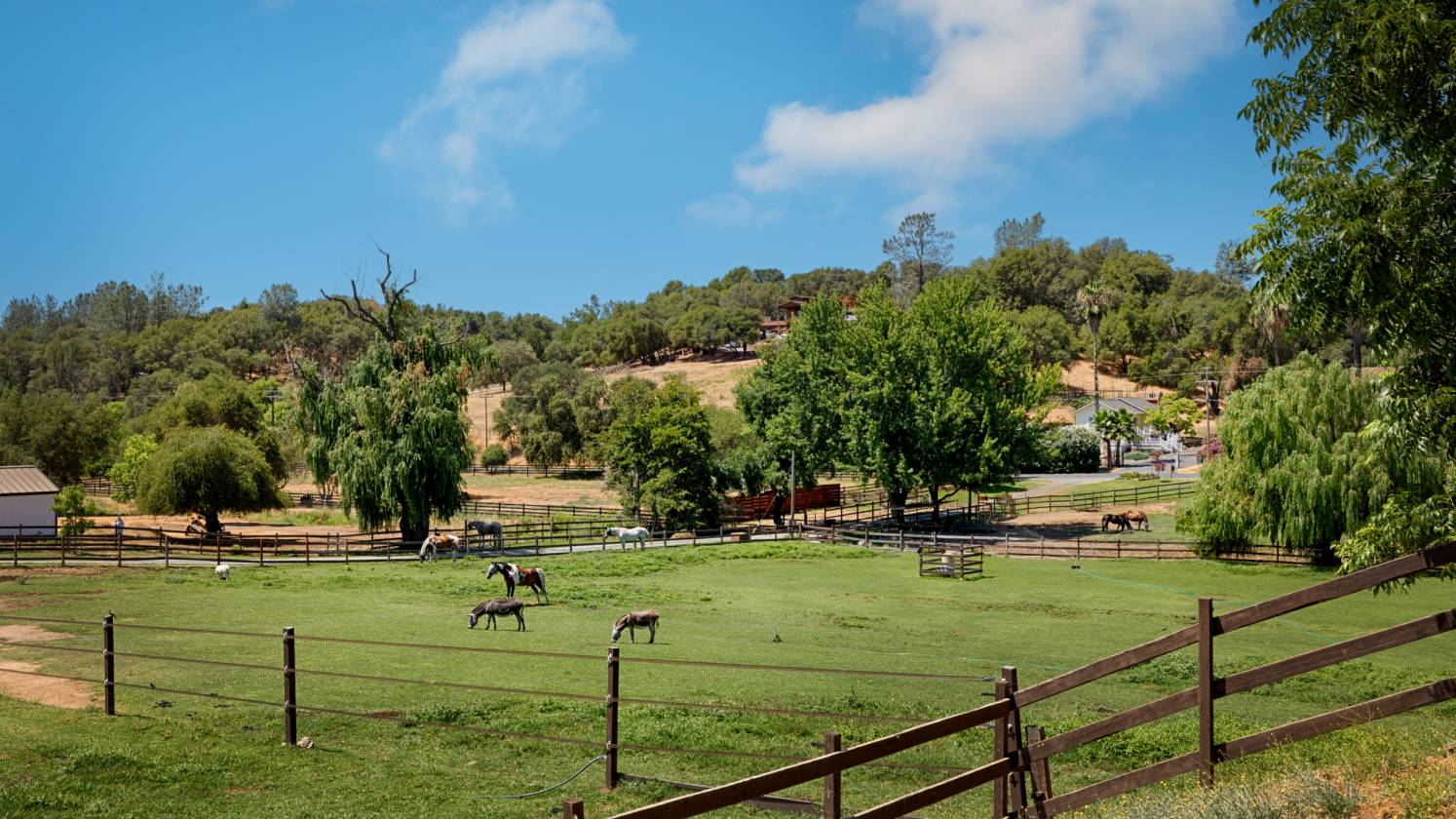 Whirlawind Ranch