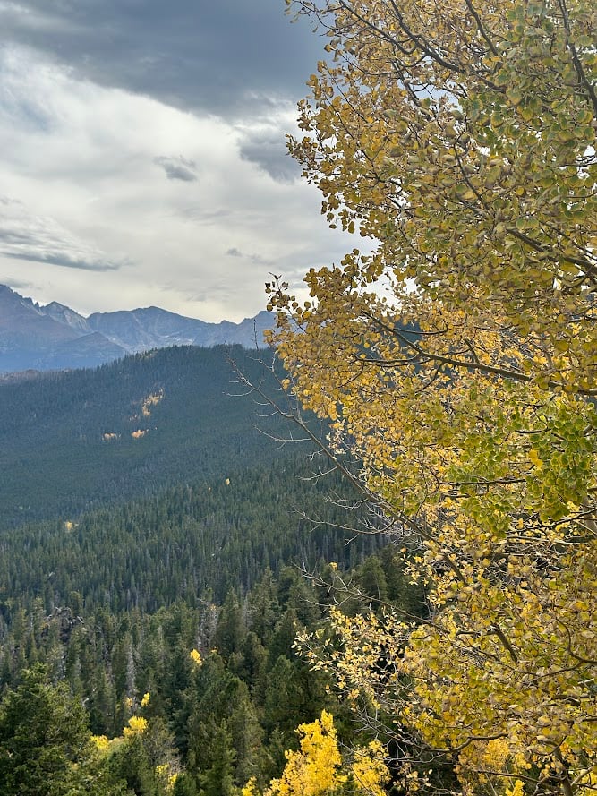 Where the Road Meets the Sky: Driving Trail Ridge Road