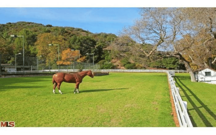 3099 Mandeville Canyon Rd