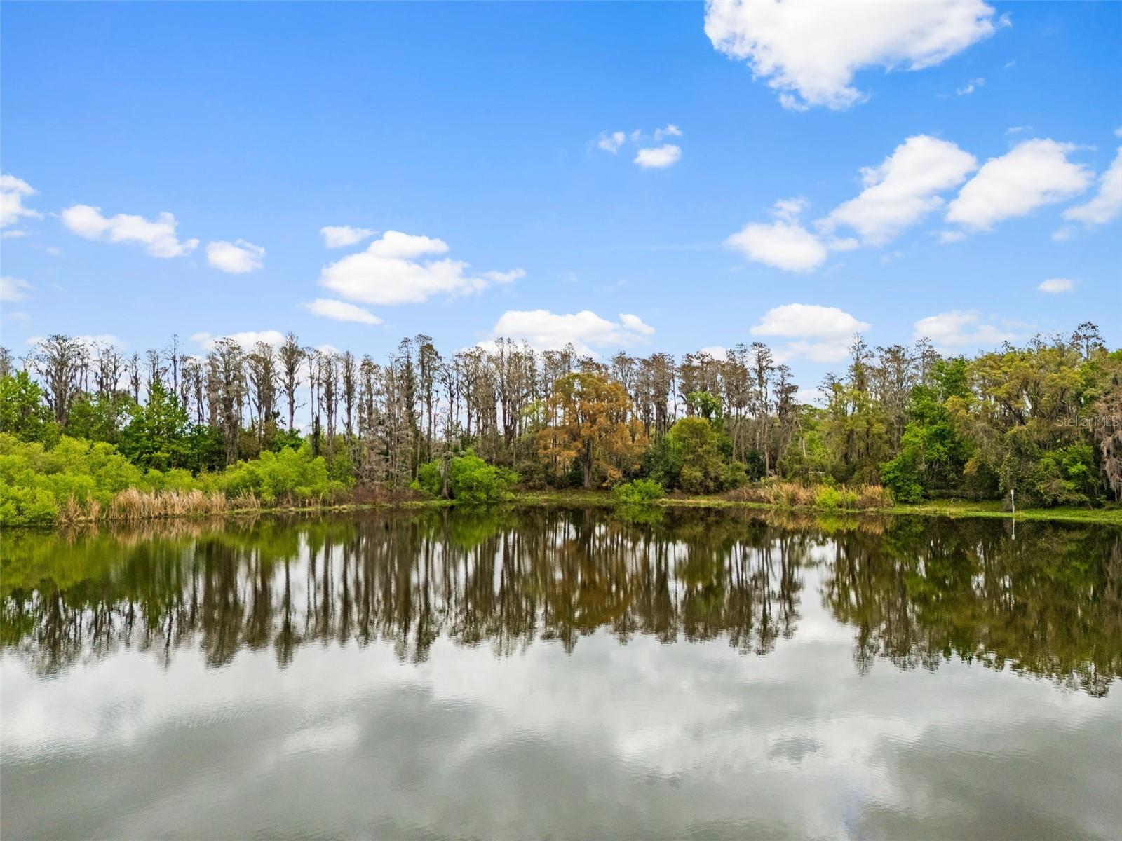 LAKE FRONT PROPERTY
