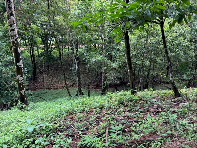 17.85 ACRES – Stunning Large Land With 2 Waterfalls Near Dominical Beach!!!