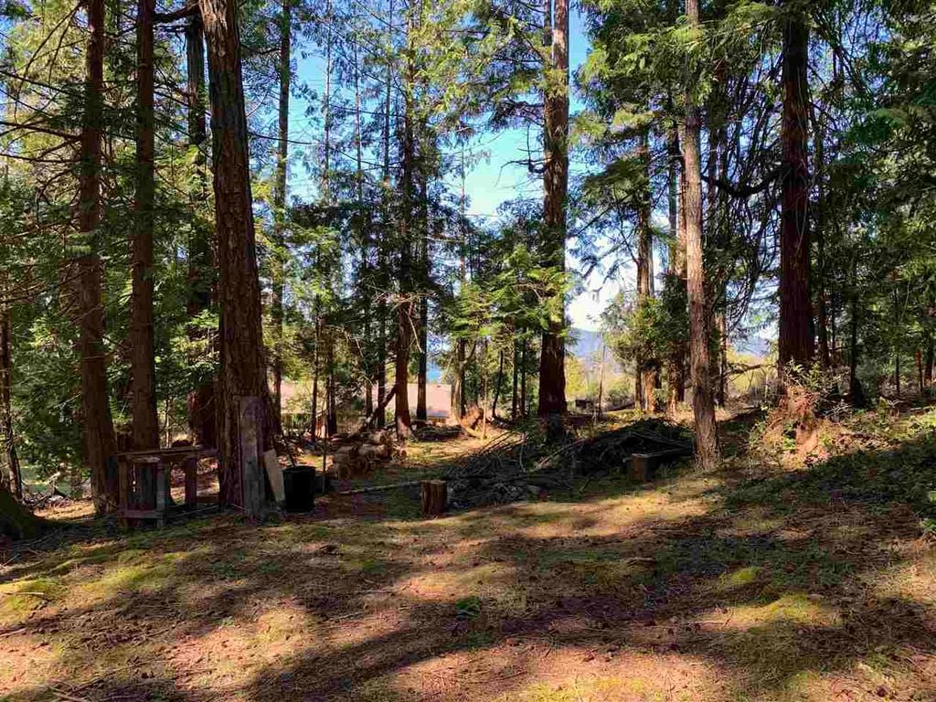 413 Campbell Bay Rd