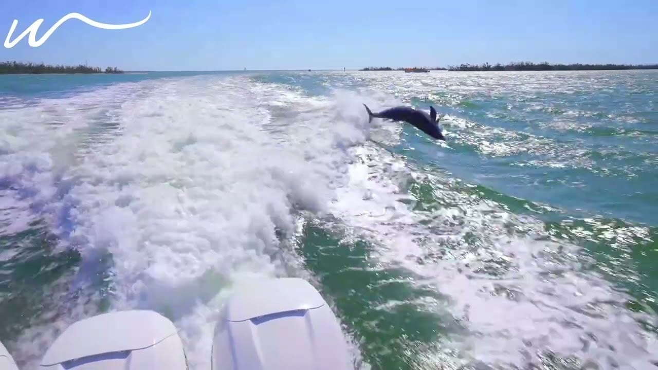 SW Florida Boating
