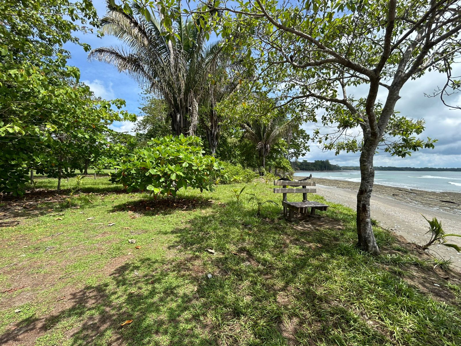 Unveil Your Dream Beachfront Sanctuary in Cabo Matapalo.