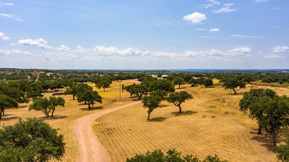 Dog Tick Ranch
