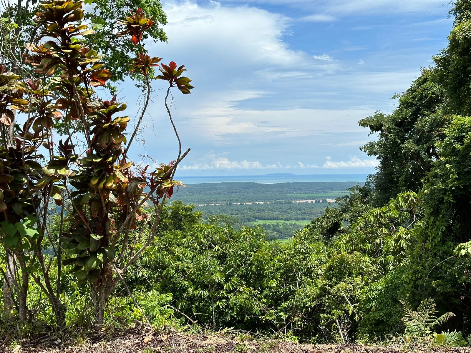 Ocean View Lot Priced to sell