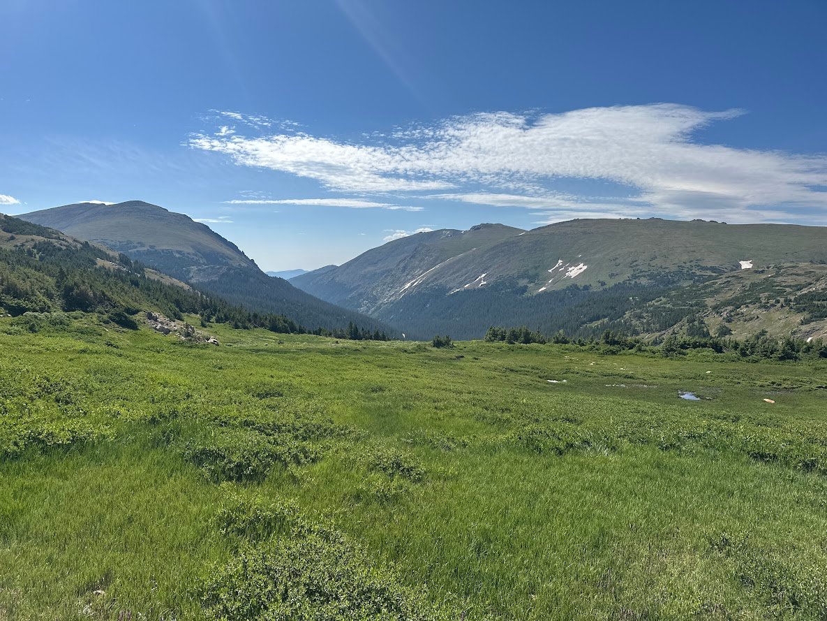 Driving Into the Wild: A Sensory Journey Along Old Fall River Road