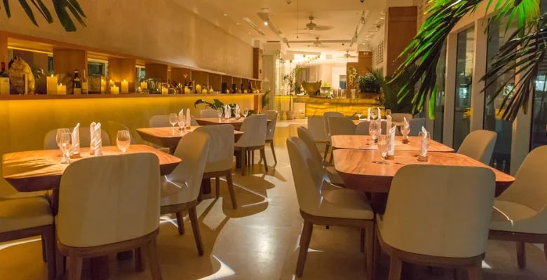 From Brickell to South Beach: Elcielo Miami's New Location is Turning Heads
