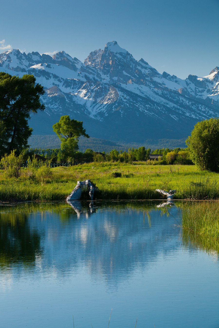 See What People are Saying