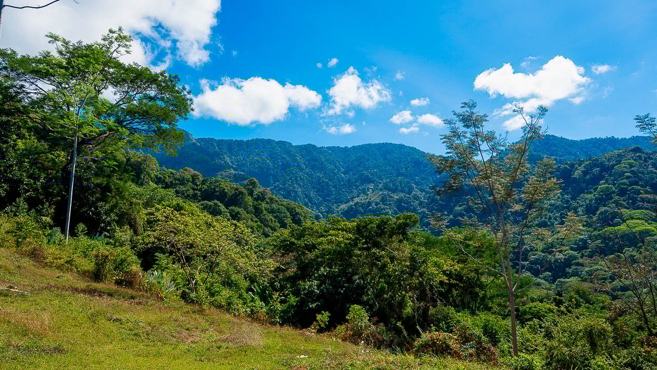 Whale Tail Views Luxury Waterfall Farm
