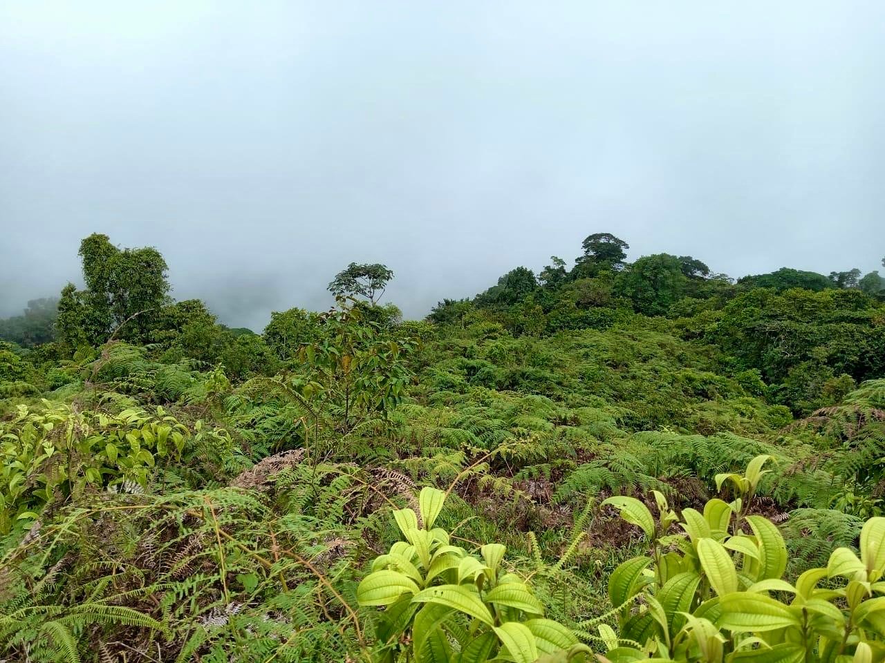 Los Cerritos Farm – 6.4 Acres of Ocean & Mountain Serenity