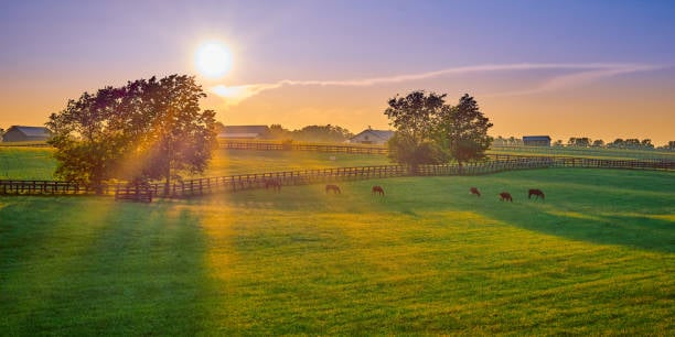 Hodgenville & Larue County