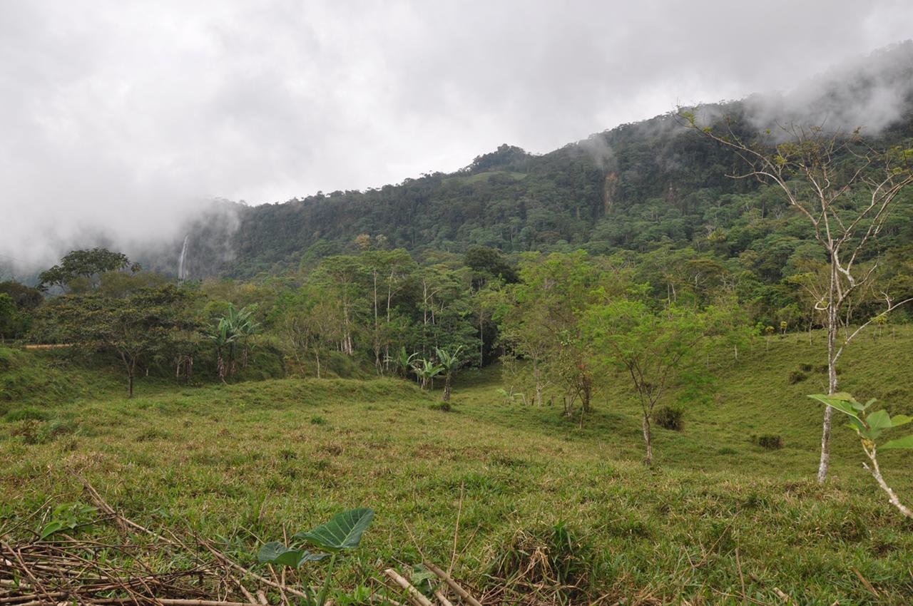 Waterfall View Farm On 80% Usable Land In Uvita