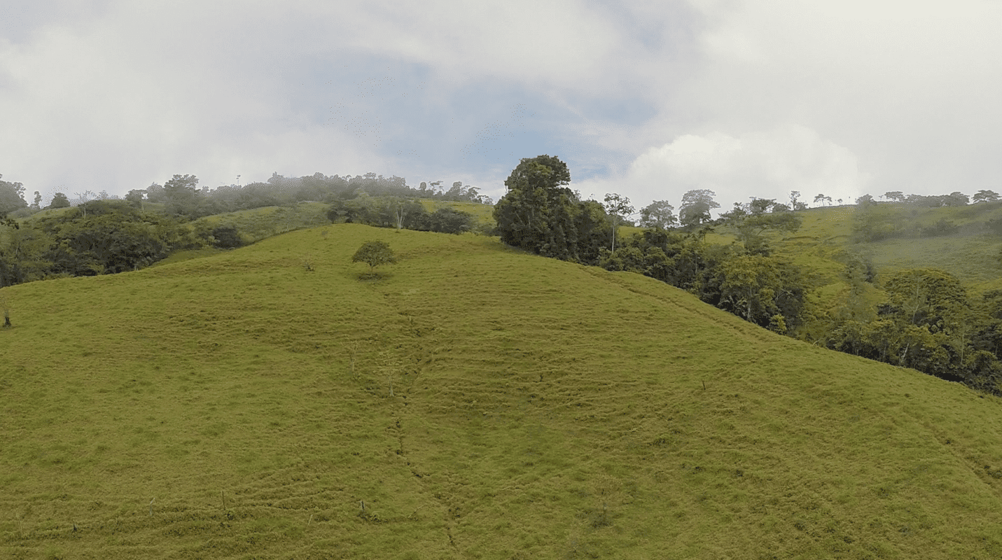 79 ACRES – Amazing Farm On Ridge Top With Whales Tail Ocean Views And 800 Exotic Tropical Fruit Trees!