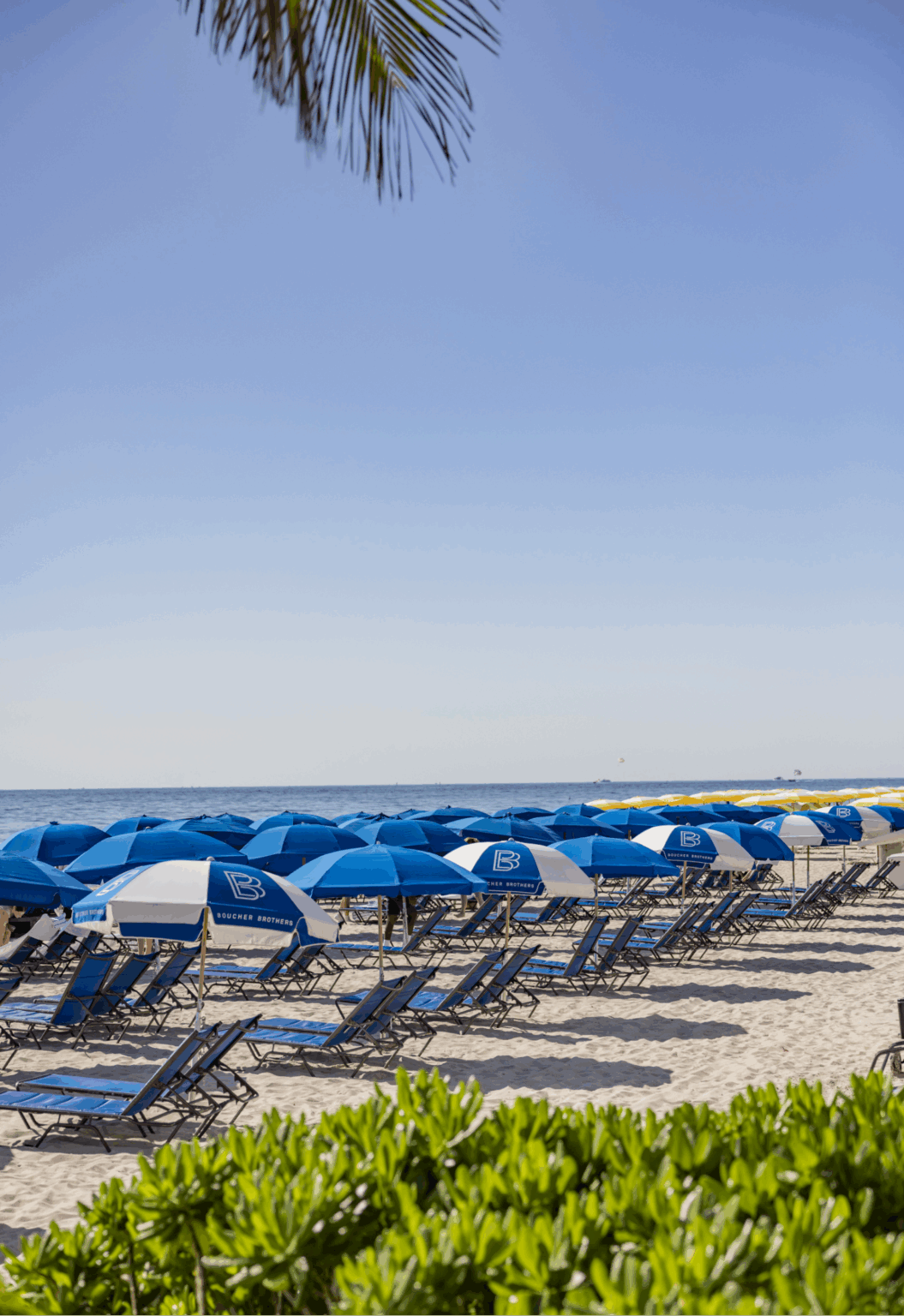 Sereno  Fort Lauderdale