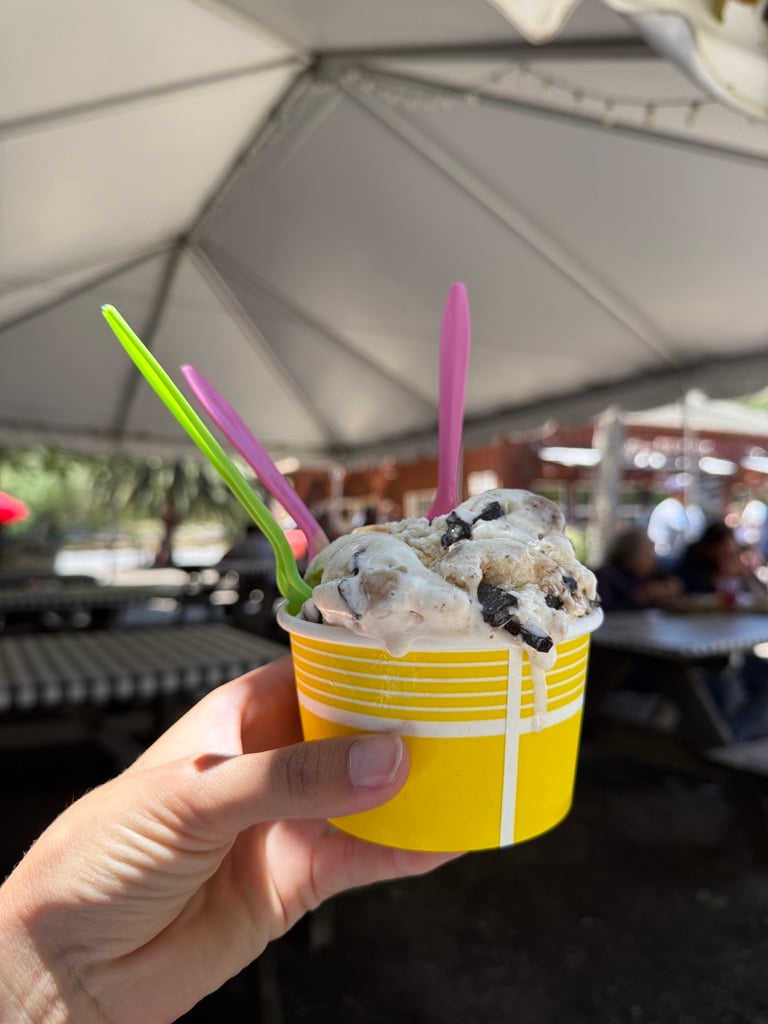 A Perfect Saturday at Avila Valley Barn