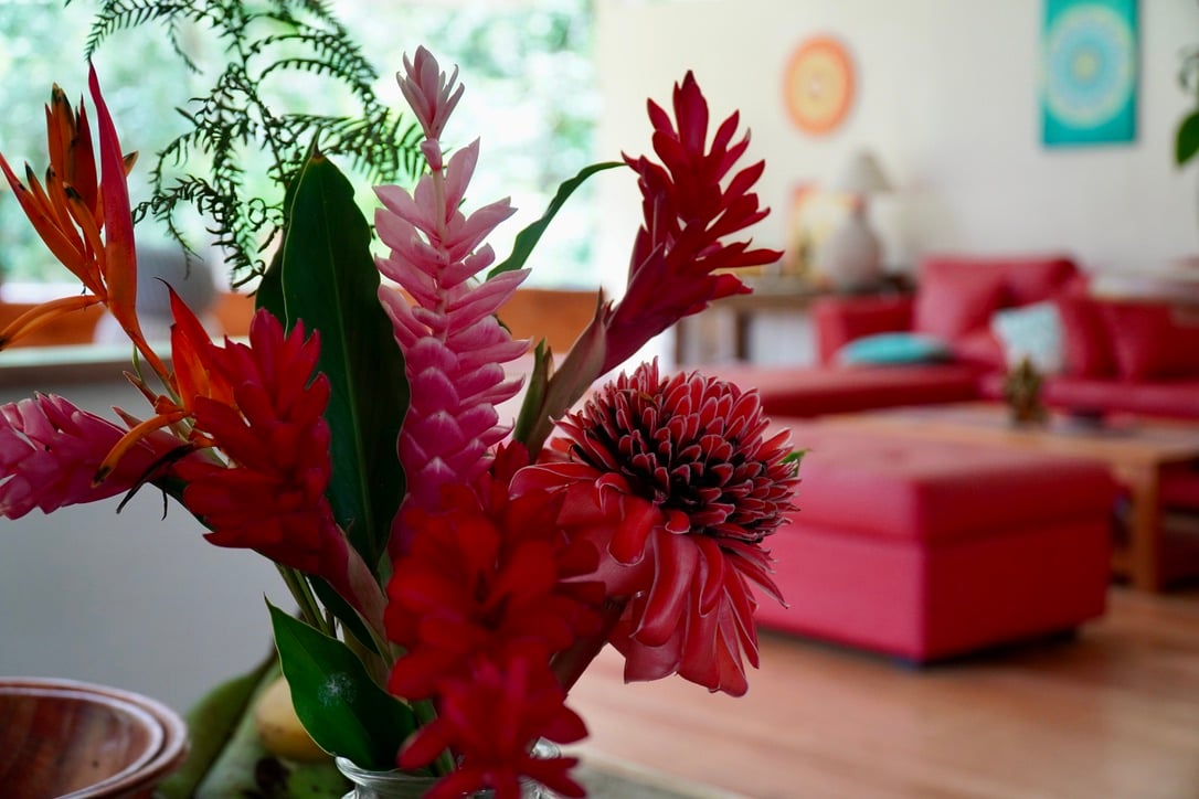 12.5 Acre property In-town for expansion, Enjoyment or Development