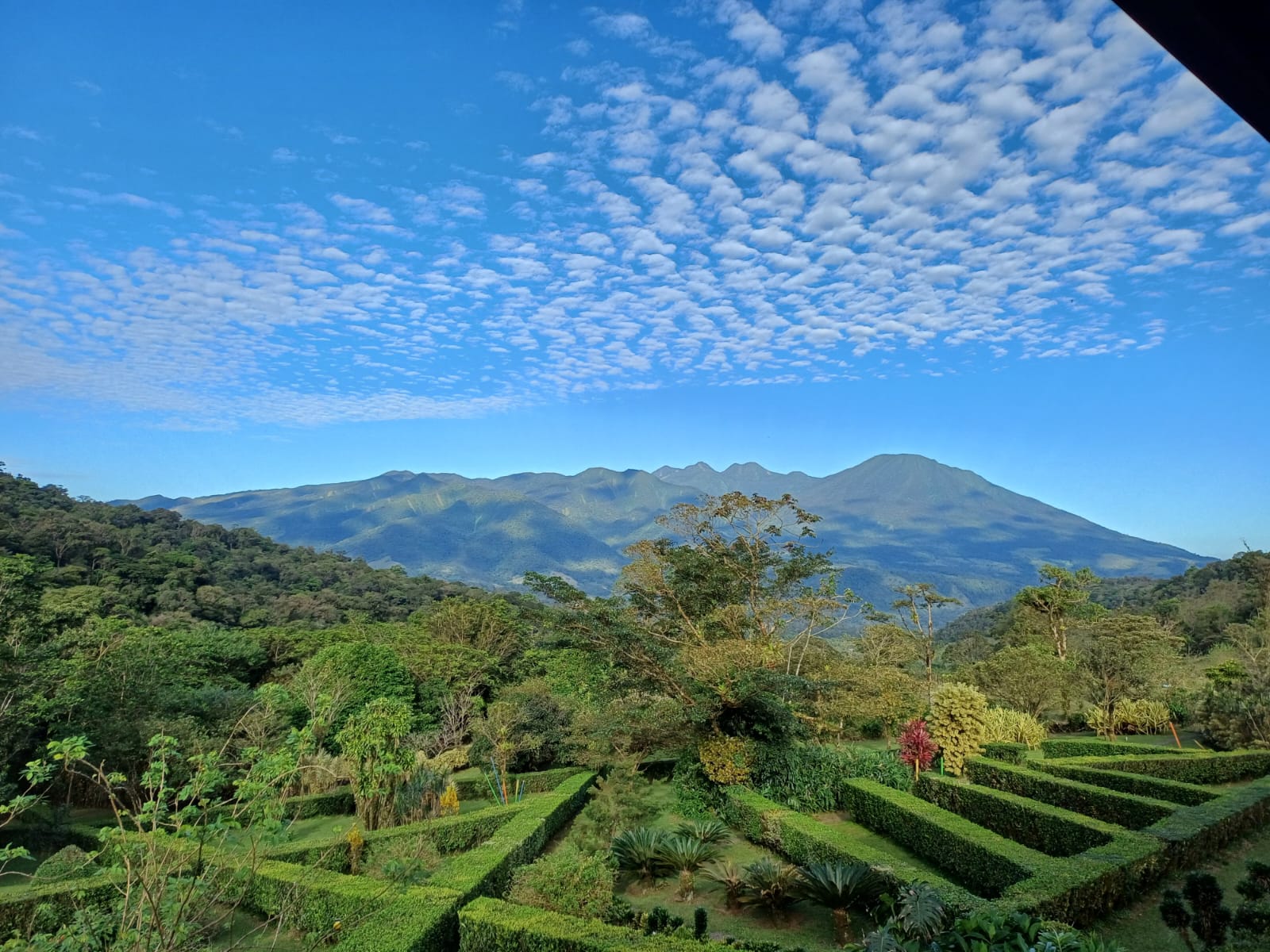 Celeste Mountain Lodge | Mountain Hotel/Resort/Hostel For Sale!