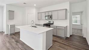 24852 King Palm Trce