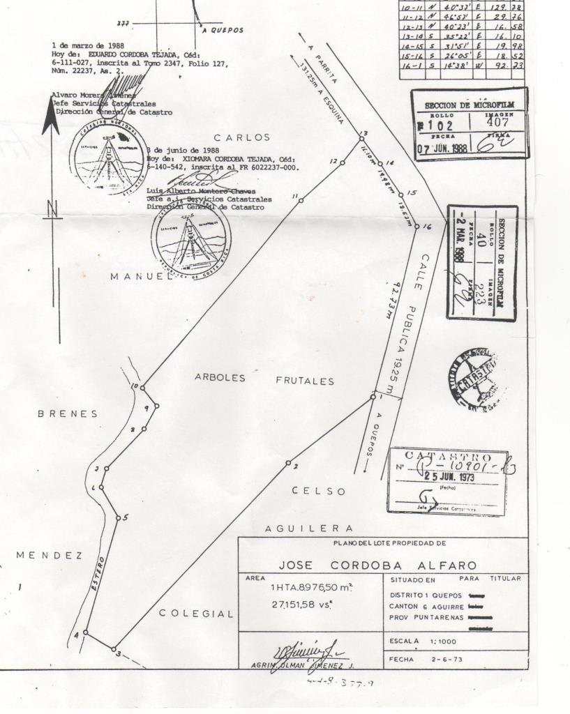 Quepos Commercial Property