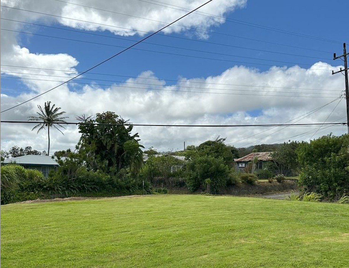 Green lawn with tropical trees and homes in the background beneath a partly cloudy sky.