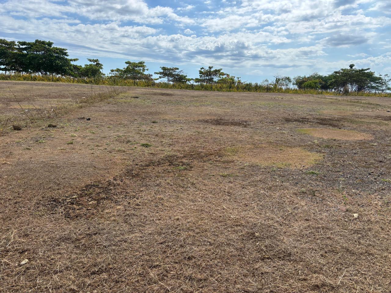 Hermosa Beachfront Lots