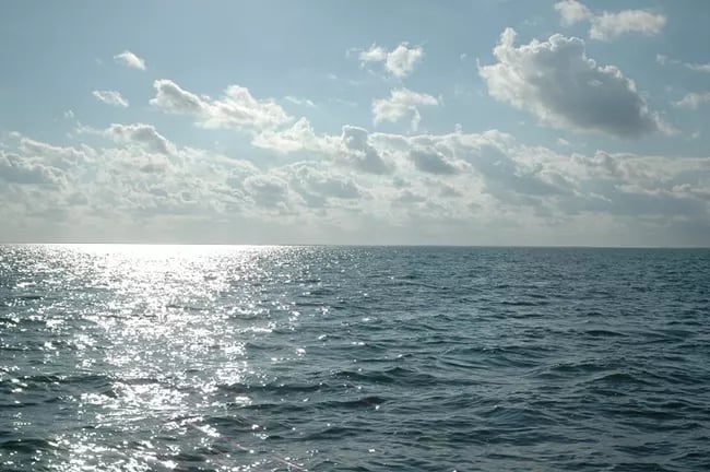 Morning sunlight on Biscayne Bay at Biscayne National Park