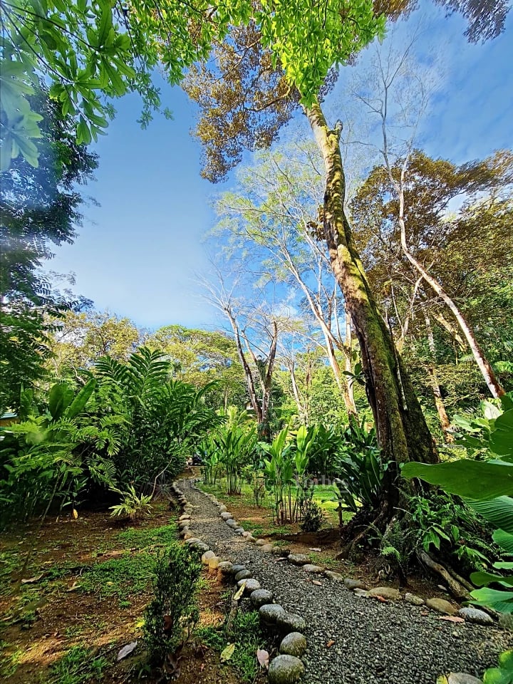 20391 - Property near the beach with hotel or private home potential