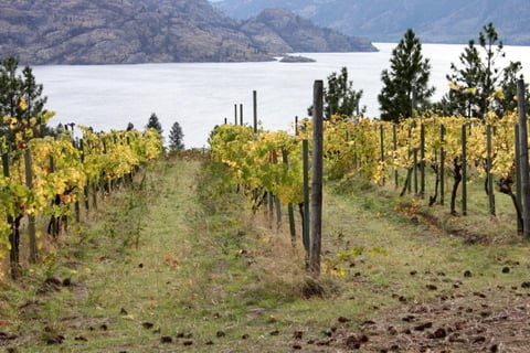 Best Realtor for Acreages in Peachland