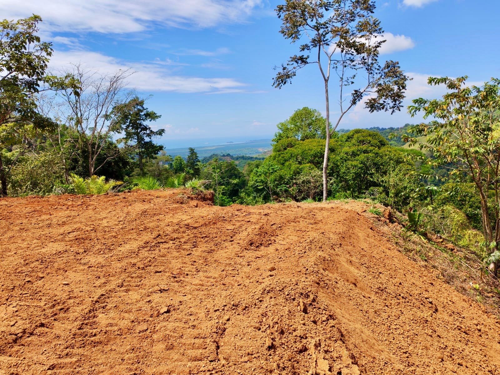 24.7-Acre Ocean View Eco Estate in San Cristóbal de Aguirre | 5 Building Sites