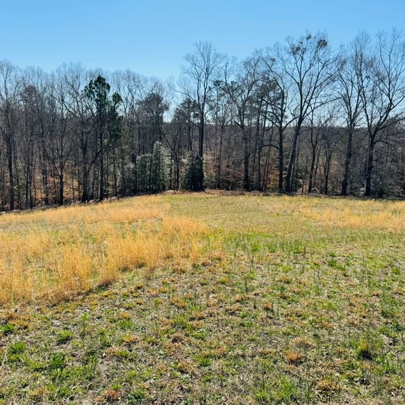 SOLD: The Perfect Property for Your Dream Estate! A Closer Look at the Stunning 14-Acre Estate Near Pelzer, SC