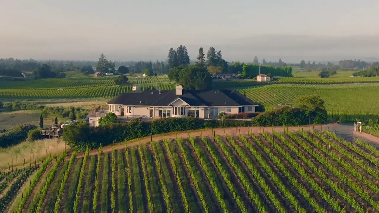 Olive Ridge Estate, Sebastopol