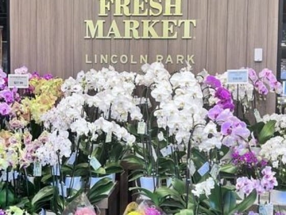The Fresh Market