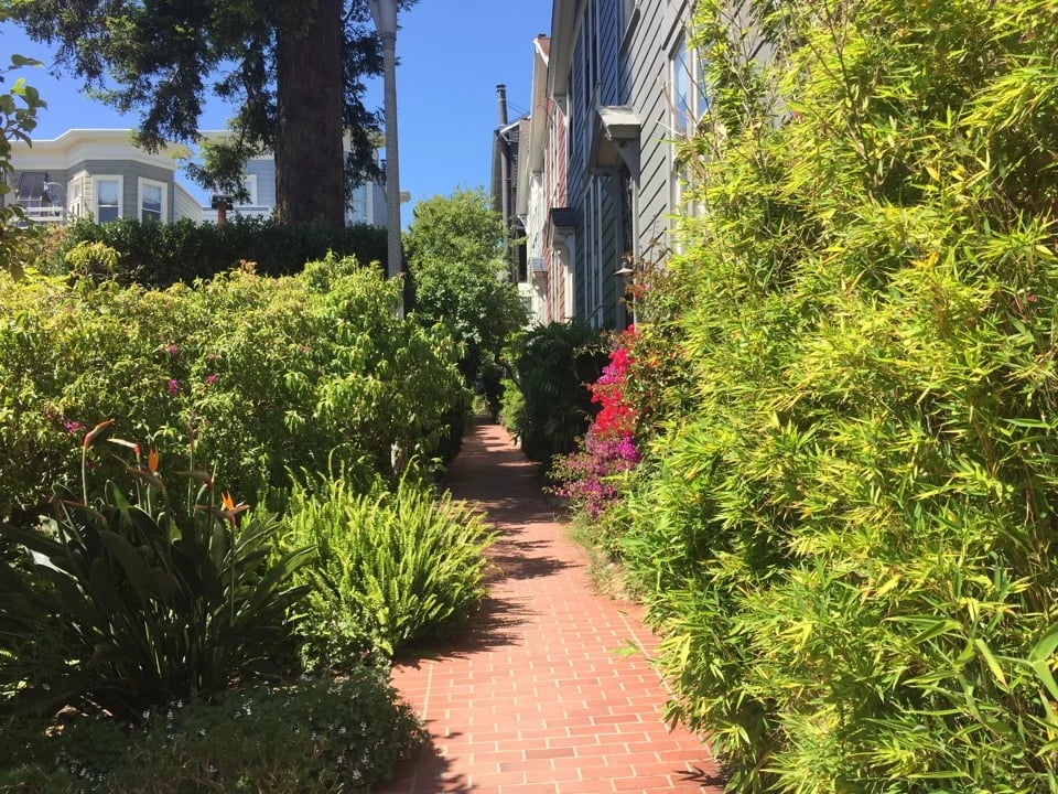 Brick walkway of Cottage Row lined with greenery and Victorian houses in San Francisco