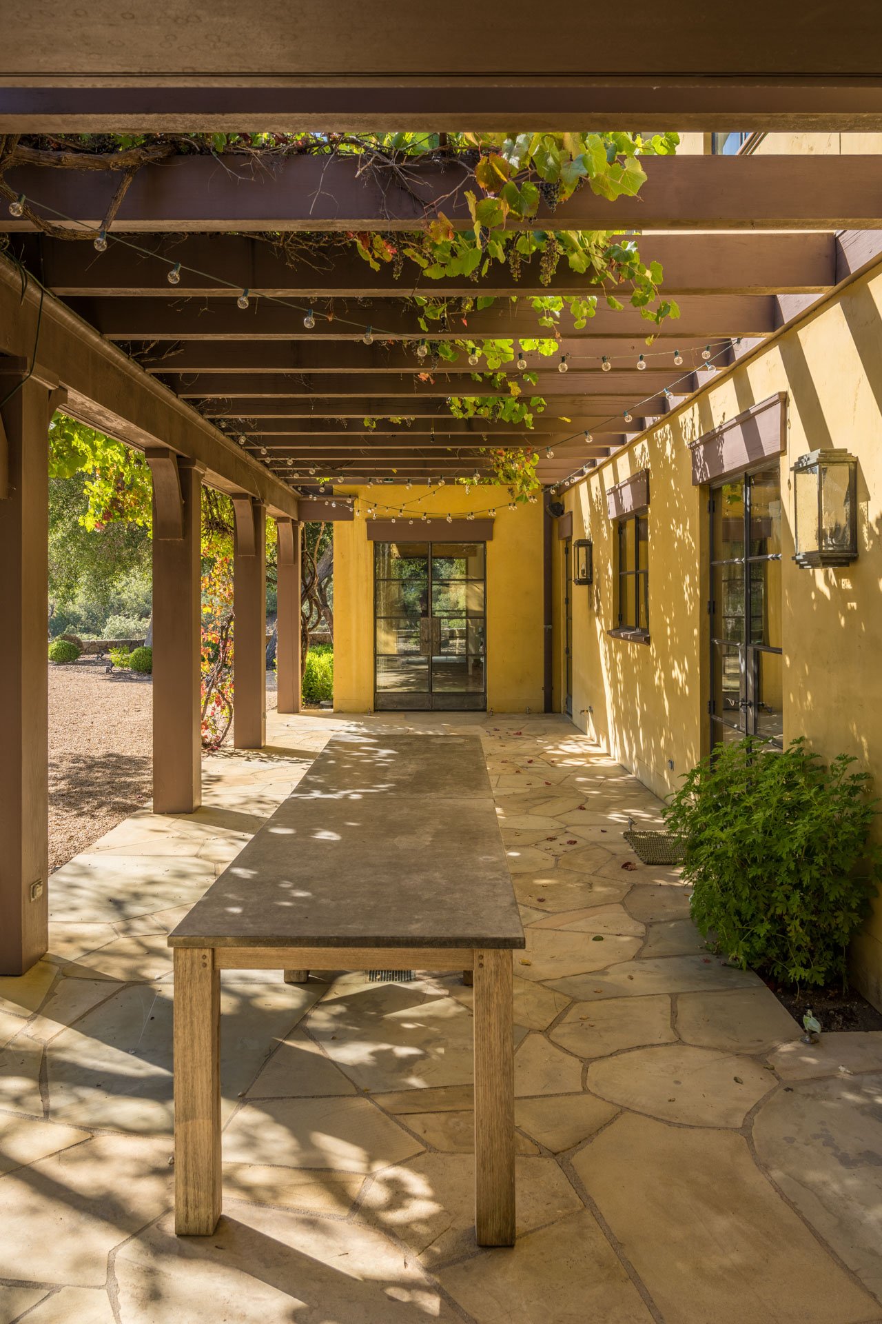 Oakville Vineyard Estate